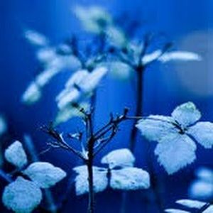 Meet your Posher, Don't be